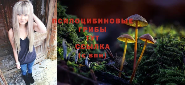 а пвп мука Аркадак